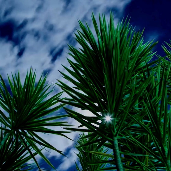 Profile Picture of Hieu Nguyen (@hieunguyen670) on Poshmark