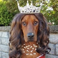 Profile Picture of Shellie Webb (@shellie-webb-1) on Quora