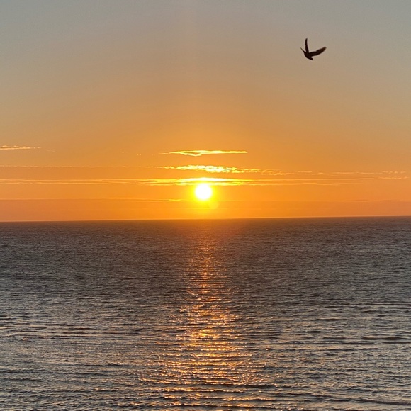 Profile Picture of Tanya Fontanelli (@tanyafont) on Poshmark