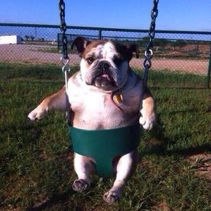 Profile Picture of Geoff Holden (@GeoffHolden3) on Twitter