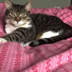 Profile Picture of David O'Donnell (@David-ODonnell) on Facebook