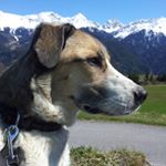 Profile Picture of Jerry Zimmermann (@jerry_zimmi) on Instagram