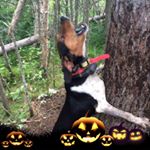 Profile Picture of Cory Scot Curtis (@corycurtis2019) on Instagram