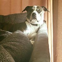 Profile Picture of Jon Mccracken (@jon-mccracken-1) on Quora