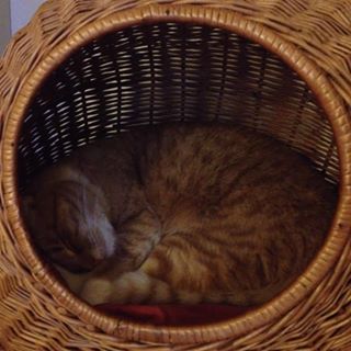 Profile Picture of Charlotte Nepper (@charlotte.nepper.54) on Facebook