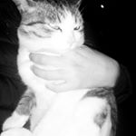 Profile Picture of Aleksandr Vasilyev (@_.flovver.__) on Instagram