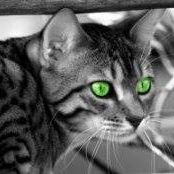 Profile Picture of Ariel Sage Jameson (@ArielSageJameson) on Facebook