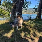 Profile Picture of Alexandra Baetz (@alexandra.baetz.39) on Facebook