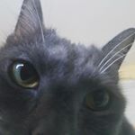 Profile Picture of Carrie's Finsta (@carriestrawberrie) on Instagram