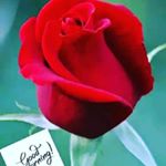 Profile Picture of naga lakshmi (@nagalakshmi8291) on Instagram