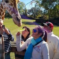 Profile Picture of Maria Jose Lopera (@MariaJoseLopera) on Twitter