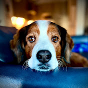 Profile Picture of Matt Richter (@mattrichter6662) on Youtube