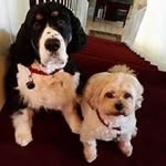 Profile Picture of Marilyn Holmes (@holmes.marilyn) on Instagram
