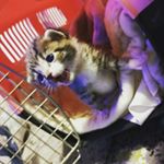 Profile Picture of Adam bousetta (@bousettaadam) on Instagram