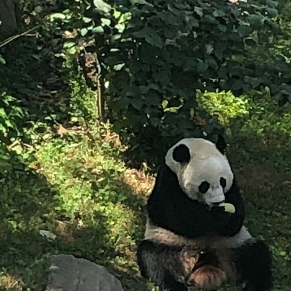 Profile Picture of Olivia Watson (@olivwats) on Poshmark