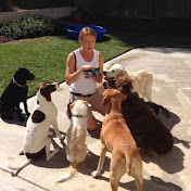 Profile Picture of JANET THORNTON, CPDT-KA, Rewards-Based DogTrainer (@janetthorntondogtrainer) on Youtube