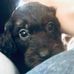 Profile Picture of Tom Jerram (@tom.jerram.167) on Facebook