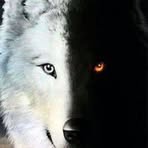 Profile Picture of Jean Marc Grondin (@Jean-Marc-Grondin) on Facebook