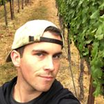 Profile Picture of Rob Scott (@winerobsy) on Instagram