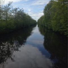 Profile Picture of Martin Cleary812 (@tearaght) on Tiktok