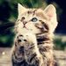 Profile Picture of Jenifer Good (@auntiejen8035) on Pinterest