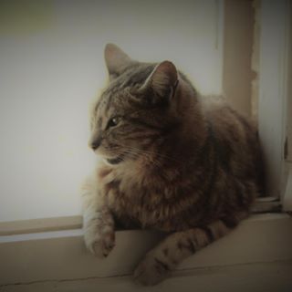 Profile Picture of Françoise Lesgoirres Reneteau (@francoise.lesgoirresreneteau) on Facebook