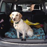 Profile Picture of Aileen Walker (@aileenwalker9) on Instagram