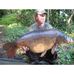 Profile Picture of Kevin Nimmo (@Kevin-Nimmo) on Facebook