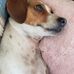 Profile Picture of Robin Boser Blaschke (@robin.boserblaschke) on Facebook