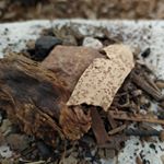 Profile Picture of CÉSAR ALEXIS AMARO NIEVES (@cesaralexisamaro) on Instagram