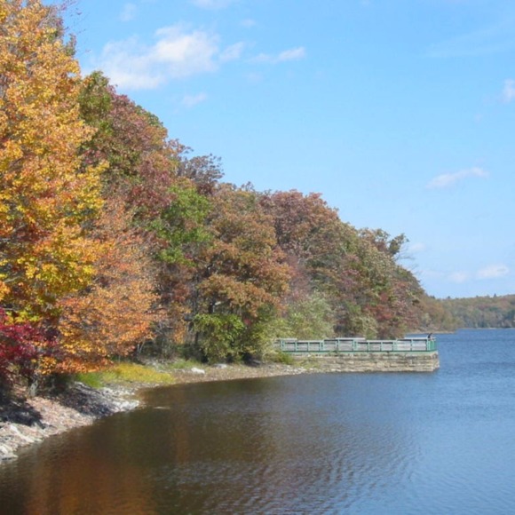 Profile Picture of Suzanne Rhen (@hollyscott99) on Poshmark