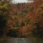 Profile Picture of Lucie Laviolette (@lucie.laviolette.3) on Facebook