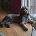 Profile Picture of Alice Conkright (@Alice-Conkright) on Facebook
