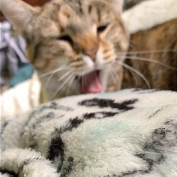 Profile Picture of Milan Caflisch (@milan_caflisch) on Poshmark