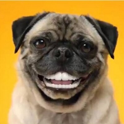 Profile Picture of Connor Lough (@LoughConnor) on Twitter