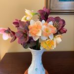 Profile Picture of Donna Donovan (@gardenerbeekeeper17) on Instagram