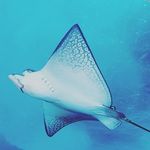 Profile Picture of James (@james.zentro) on Instagram