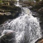 Profile Picture of Brady Blais (@maineblazen) on Instagram