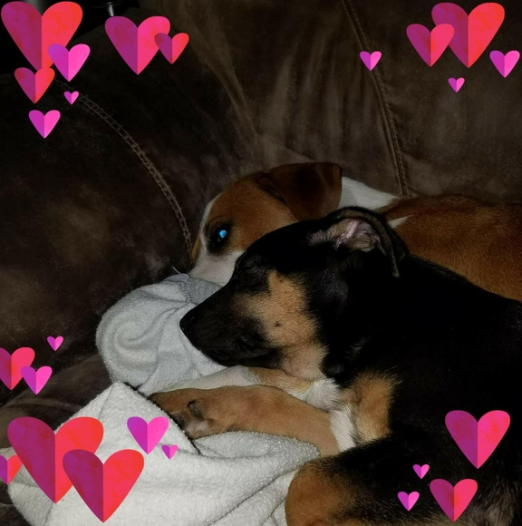 Profile Picture of Denise Blevins (@denise_blevins) on Poshmark