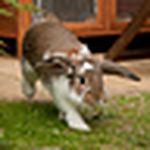 Profile Picture of Dave_e1 (@dave_e1) on Flickr