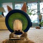 Profile Picture of Nancy Wood (@nnwood16) on Instagram