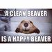 Profile Picture of Brian Jessen (@bjessen2082) on Pinterest