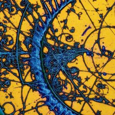 Profile Picture of Timothy T Ealey (@time808) on Twitter