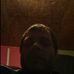 Profile Picture of Joshua Certain (@joshua.certain.37) on Facebook