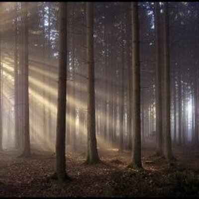 Profile Picture of Hearmeroar (@Julius_no_ser) on Twitter