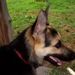 Profile Picture of Gene Brewster (@geneob) on Pinterest