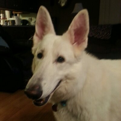 Profile Picture of Debra Hanson (@debgeno72) on Twitter