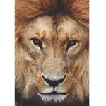 Val Wright - Instagram Profile Picture of Val Wright (@val.wright.980) on Instagram