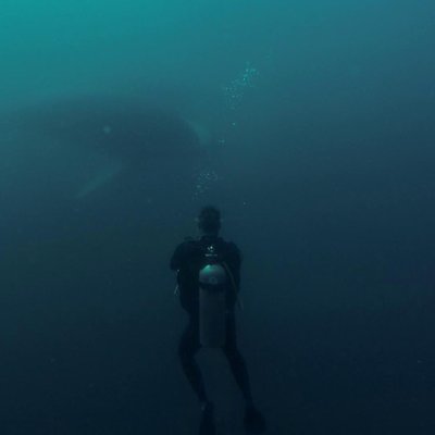Profile Picture of Bert Vos (@BertVosNOB) on Twitter