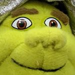 Profile Picture of Angus Williams (gus) (@angus_williams05) on Instagram